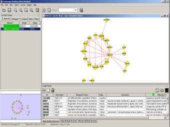 Image 0 for Cytoscape (32-bit)