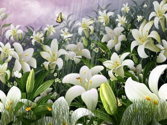 Image 0 for Butterflies World Screens…