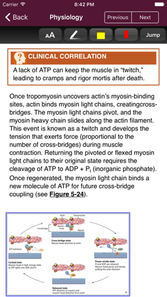 Imagen 2 para First Aid: Organ Systems