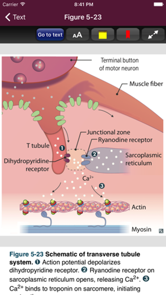 Imagen 3 para First Aid: Organ Systems