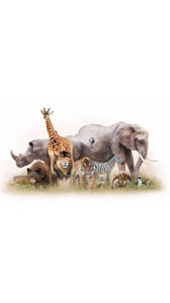 Image 0 for ZOO