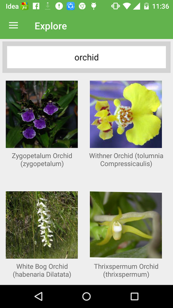 PlantSnap Pro - Identify Plants, Flowers & Trees Thumbnails 4