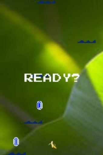 Image 3 for Super Banana