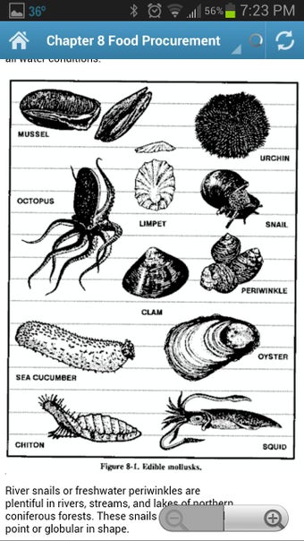 Image 0 for Army Survival Handbook