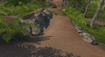 Image 0 for Wizard Park Freeride for …