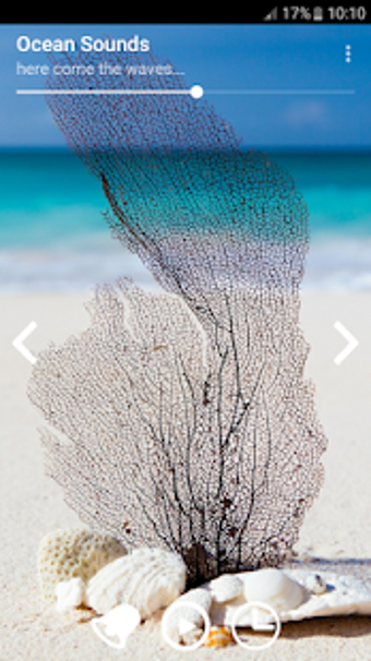 Image 0 for Ocean Sounds