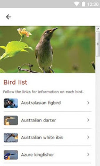 Image 0 for Kakadu Birds