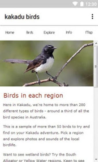 Image 3 for Kakadu Birds