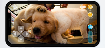 Image 0 for PlayDate Smart Ball