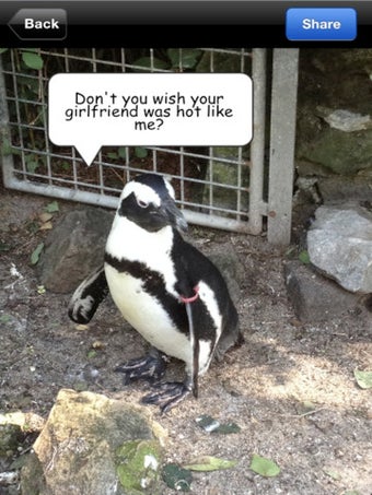 Image 5 for Picoon Free - Funny Pictu…