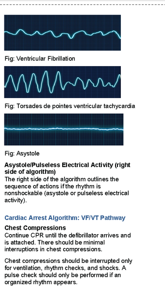 Image 2 for ACLS Provider Manual 2015…