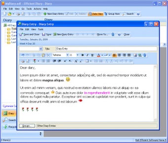 Image 0 for Efficient Diary Network