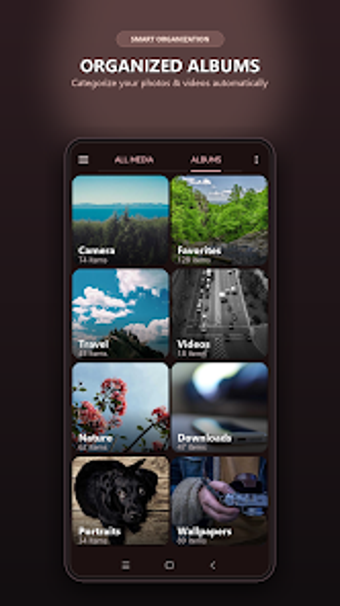 Imagen 0 para Mini Gallery  Vault