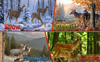 Image 1 for Wild Deer Hunter Adventur…