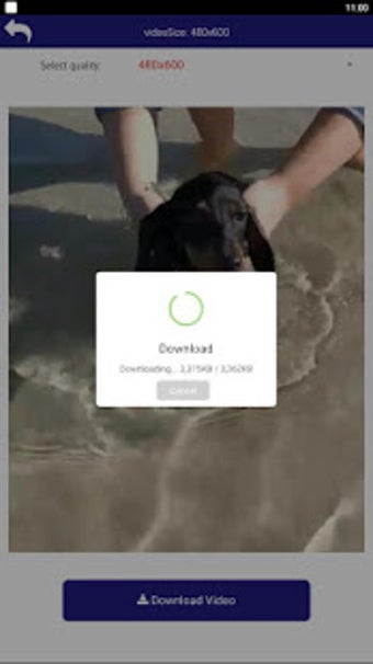 Imagen 2 para Download Video for Pinter…
