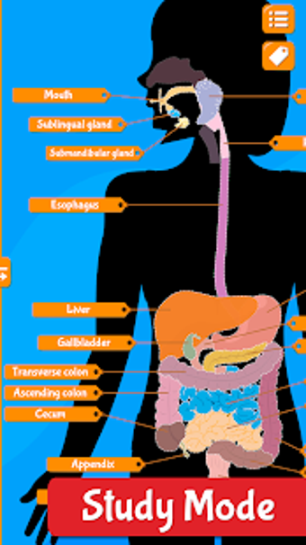 Image 2 for Anatomix - Human Anatomy
