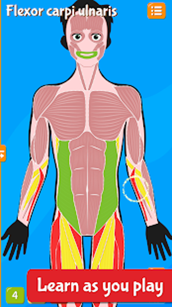 Image 0 for Anatomix - Human Anatomy