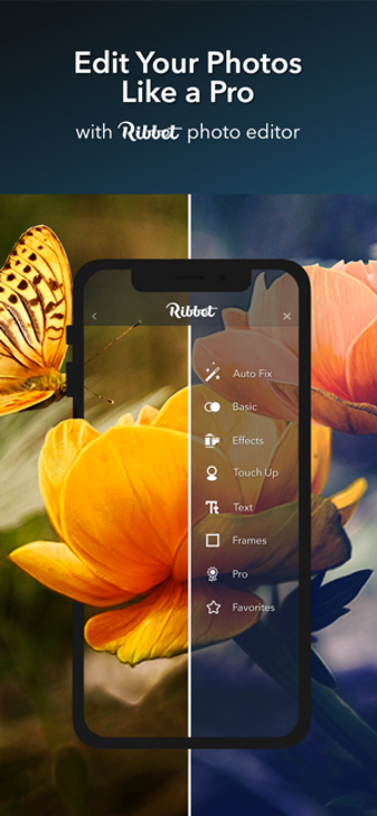 Image 3 for Ribbet Photo Editing Suit…