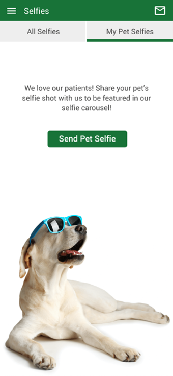 Image 2 for Just Like Home Pet Hotel