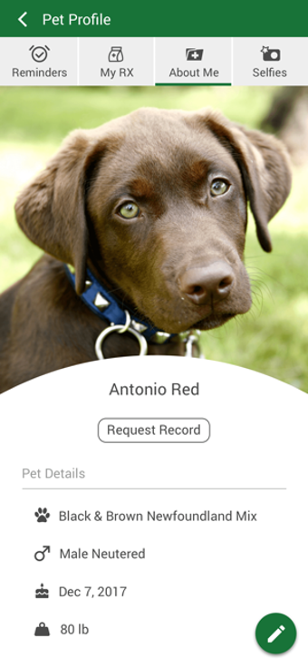 Image 3 for Just Like Home Pet Hotel