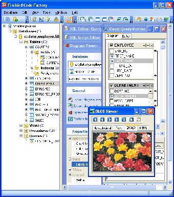 Image 0 for Firebird Code Factory