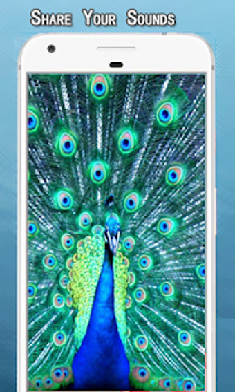 Imagen 2 para Peacock Sounds Ringtone