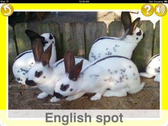 Image 6 for Learn for fun - English […