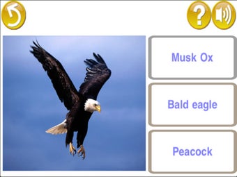 Image 2 for Learn for fun - English […