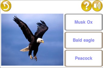 Image 4 for Learn for fun - English […