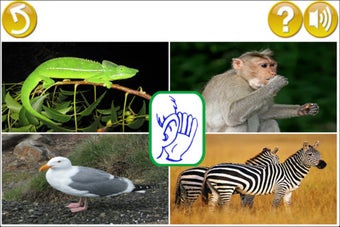 Image 0 for Learn for fun - English […
