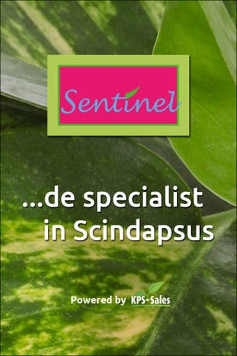 Image 0 for Sentinel specialist in sc…