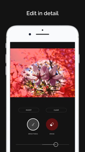 Image 3 for Ultralight - Photo and Vi…