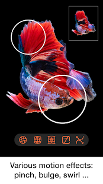 Imagen 2 para Photo Motion Effects & An…