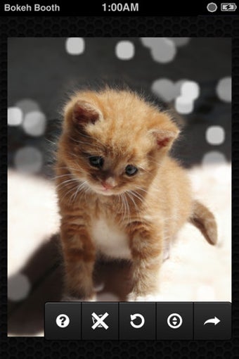 Imagen 2 para Bokeh Booth