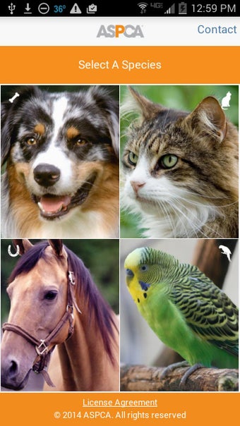 Image 1 for APCC by ASPCA