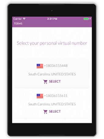 Image 1 for Virtual SIM (SMS)