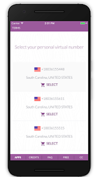 Image 0 for Virtual SIM (SMS)