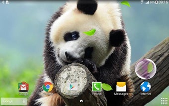 Imagen 1 para Cute Panda Live Wallpaper