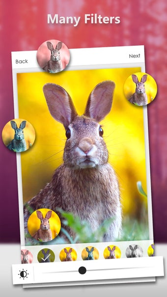 Image 1 for DSLR Camera - Blur Photos…