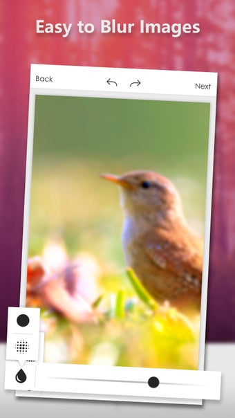 Image 2 for DSLR Camera - Blur Photos…