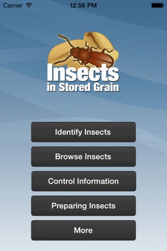 Image 0 for Insects in Stored Grain