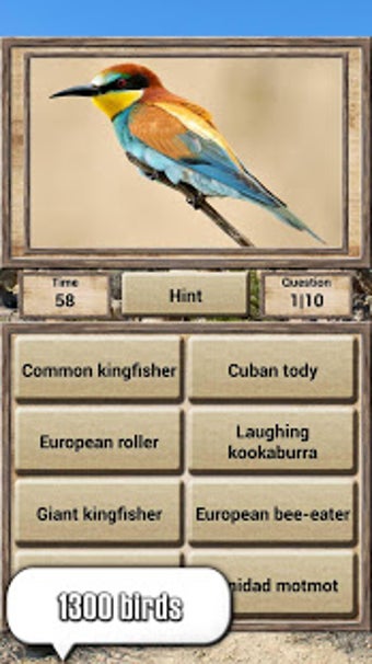 Imagen 2 para Animal Kingdom - Quiz Gam…