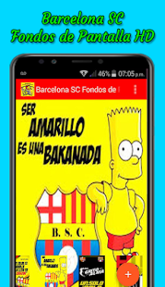 Image 3 for Barcelona SC Fondos de Pa…