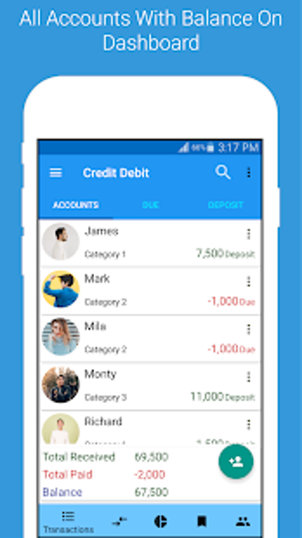 Image 3 for Credit Debit-Ledger Accou…