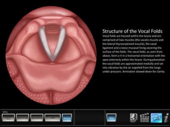 Image 0 for Vocal Pathology: Reflux