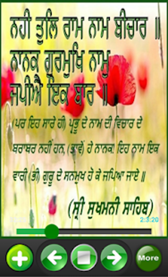Imagen 2 para Sukhmani Sahib