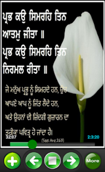 Imagen 3 para Sukhmani Sahib