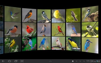 Imagen 2 para Gallery Wall 3D