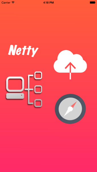 Image 2 for Netty  Network Analyzer