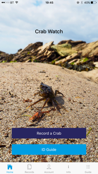 Image 0 for Crab Watch